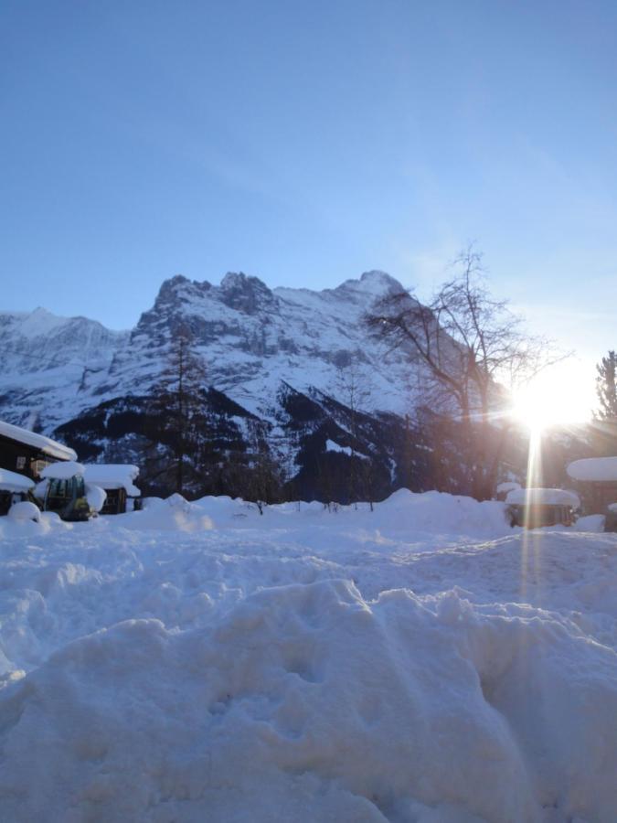 Chalet Engi Apt 1 For Up To 8 People Grindelwald Exteriör bild