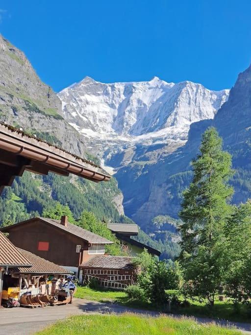 Chalet Engi Apt 1 For Up To 8 People Grindelwald Exteriör bild