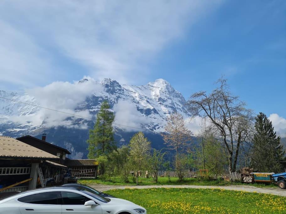 Chalet Engi Apt 1 For Up To 8 People Grindelwald Exteriör bild