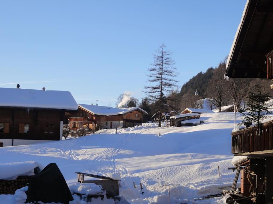 Chalet Engi Apt 1 For Up To 8 People Grindelwald Exteriör bild