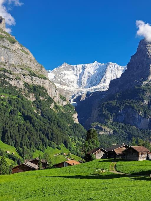 Chalet Engi Apt 1 For Up To 8 People Grindelwald Exteriör bild